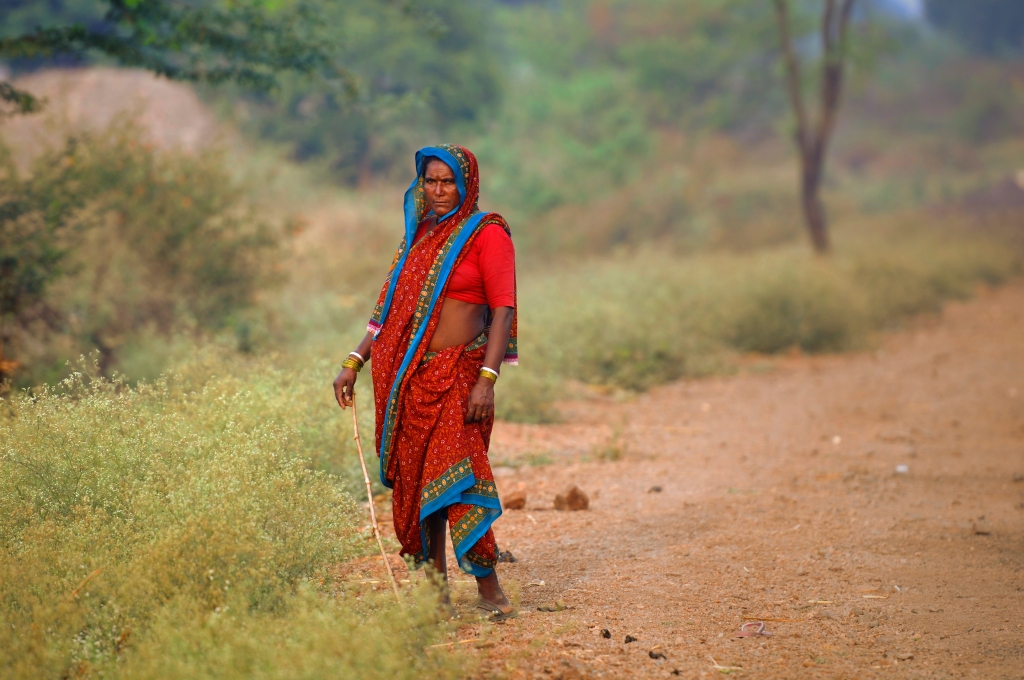 Sheepherdess, India - Your Shot - National Geographic Magazine -- Kristian Bertel